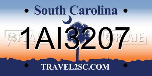 1AI3207 South Carolina License Plate