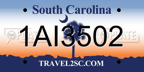 1AI3502 South Carolina License Plate