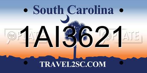 1AI3621 South Carolina License Plate