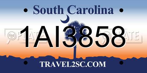 1AI3858 South Carolina License Plate