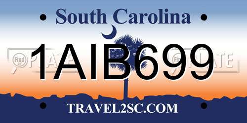 1AIB699 South Carolina License Plate