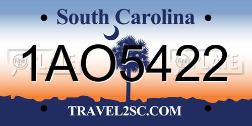1AO5422 South Carolina License Plate