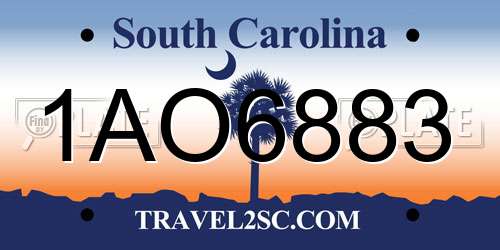 1AO6883 South Carolina License Plate