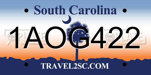 1AOG422 South Carolina License Plate