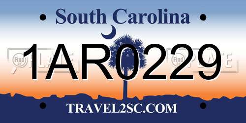 1AR0229 South Carolina License Plate