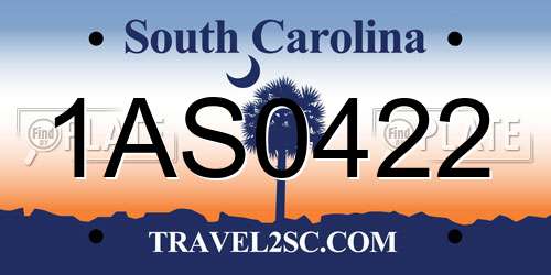1AS0422 South Carolina License Plate