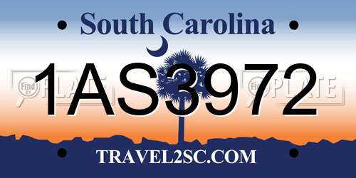 1AS3972 South Carolina License Plate