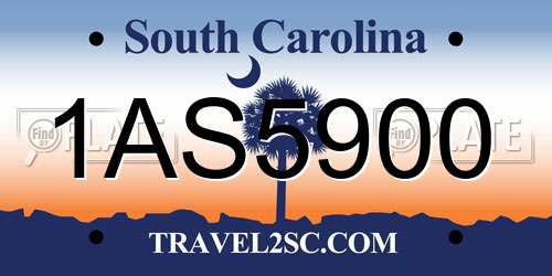 1AS5900 South Carolina License Plate