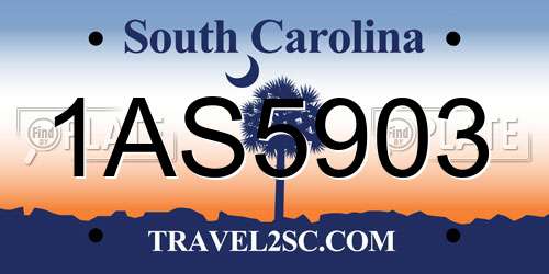 1AS5903 South Carolina License Plate