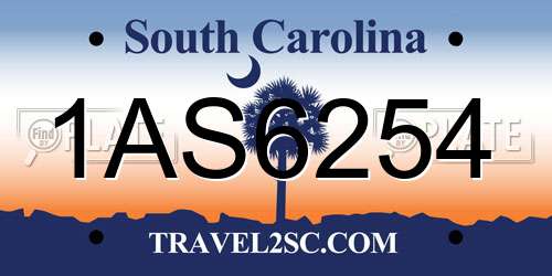 1AS6254 South Carolina License Plate