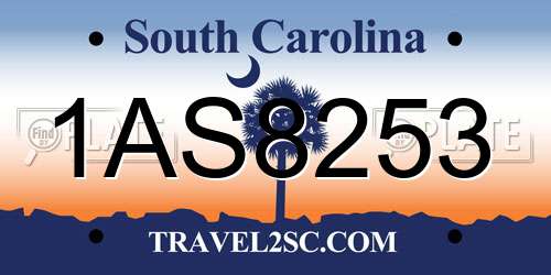 1AS8253 South Carolina License Plate