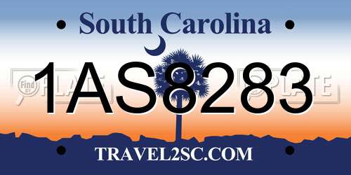 1AS8283 South Carolina License Plate