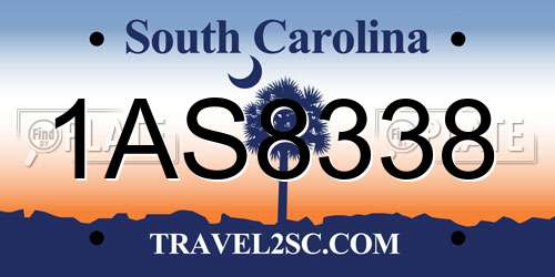 1AS8338 South Carolina License Plate