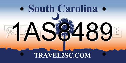1AS8489 South Carolina License Plate