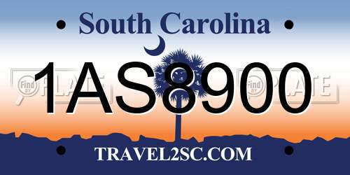 1AS8900 South Carolina License Plate