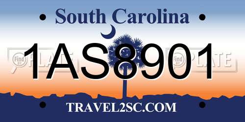 1AS8901 South Carolina License Plate
