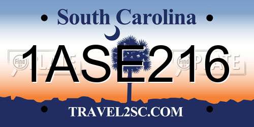 1ASE216 South Carolina License Plate