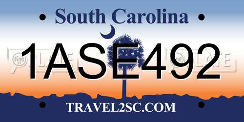 1ASE492 South Carolina License Plate