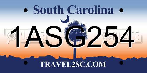 1ASG254 South Carolina License Plate