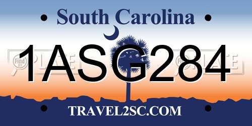 1ASG284 South Carolina License Plate