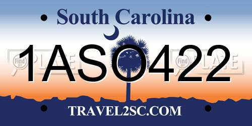 1ASO422 South Carolina License Plate