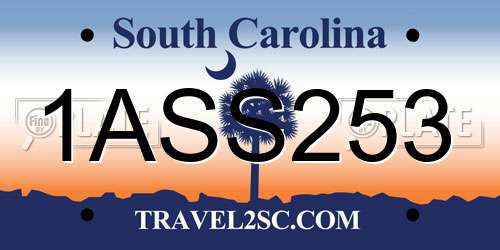 1ASS253 South Carolina License Plate