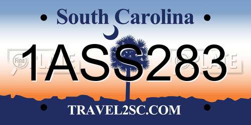 1ASS283 South Carolina License Plate