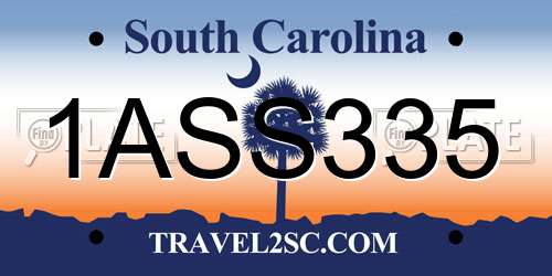 1ASS335 South Carolina License Plate