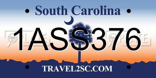 1ASS376 South Carolina License Plate