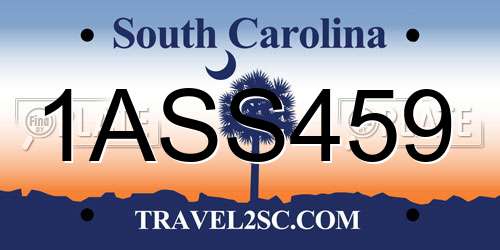 1ASS459 South Carolina License Plate