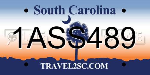 1ASS489 South Carolina License Plate