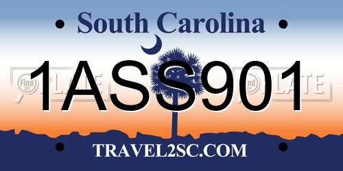 1ASS901 South Carolina License Plate