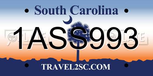 1ASS993 South Carolina License Plate