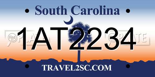 1AT2234 South Carolina License Plate