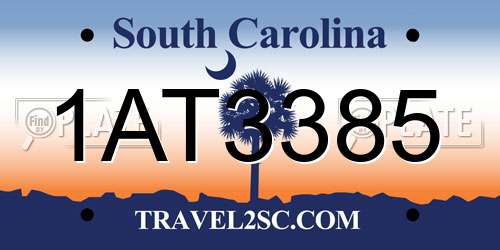 1AT3385 South Carolina License Plate