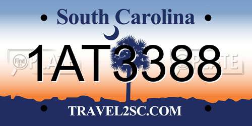 1AT3388 South Carolina License Plate
