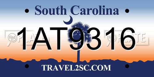 1AT9316 South Carolina License Plate
