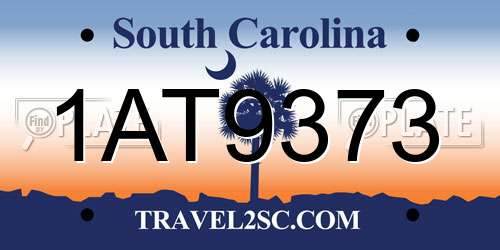 1AT9373 South Carolina License Plate