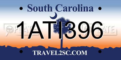1ATI396 South Carolina License Plate