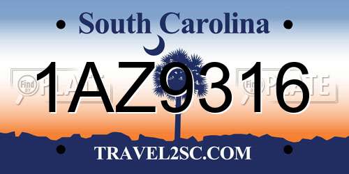 1AZ9316 South Carolina License Plate