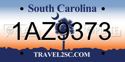 1AZ9373 South Carolina License Plate