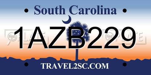 1AZB229 South Carolina License Plate