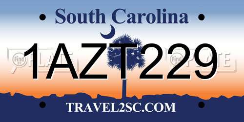 1AZT229 South Carolina License Plate