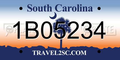 1B05234 South Carolina License Plate