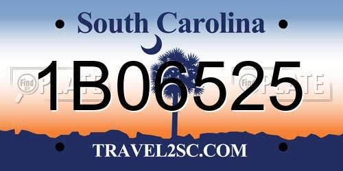 1B06525 South Carolina License Plate