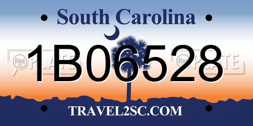 1B06528 South Carolina License Plate