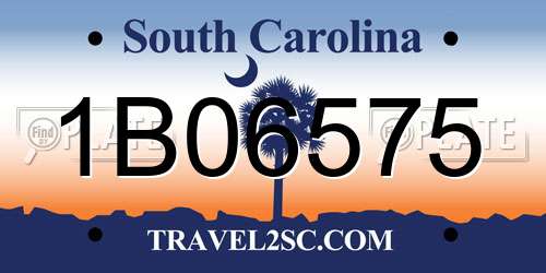 1B06575 South Carolina License Plate