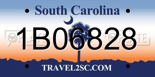 1B06828 South Carolina License Plate