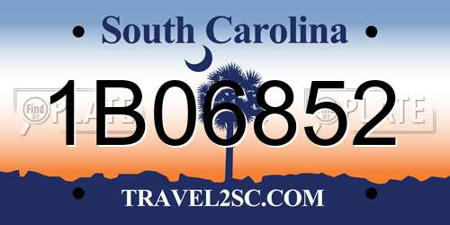 1B06852 South Carolina License Plate