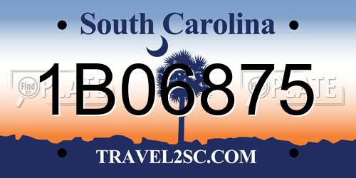 1B06875 South Carolina License Plate
